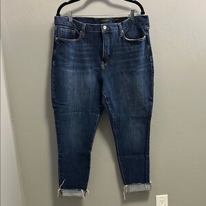 Banana Republic Premium Denim mid-rise, skinny Women's Blue Jeans size 33